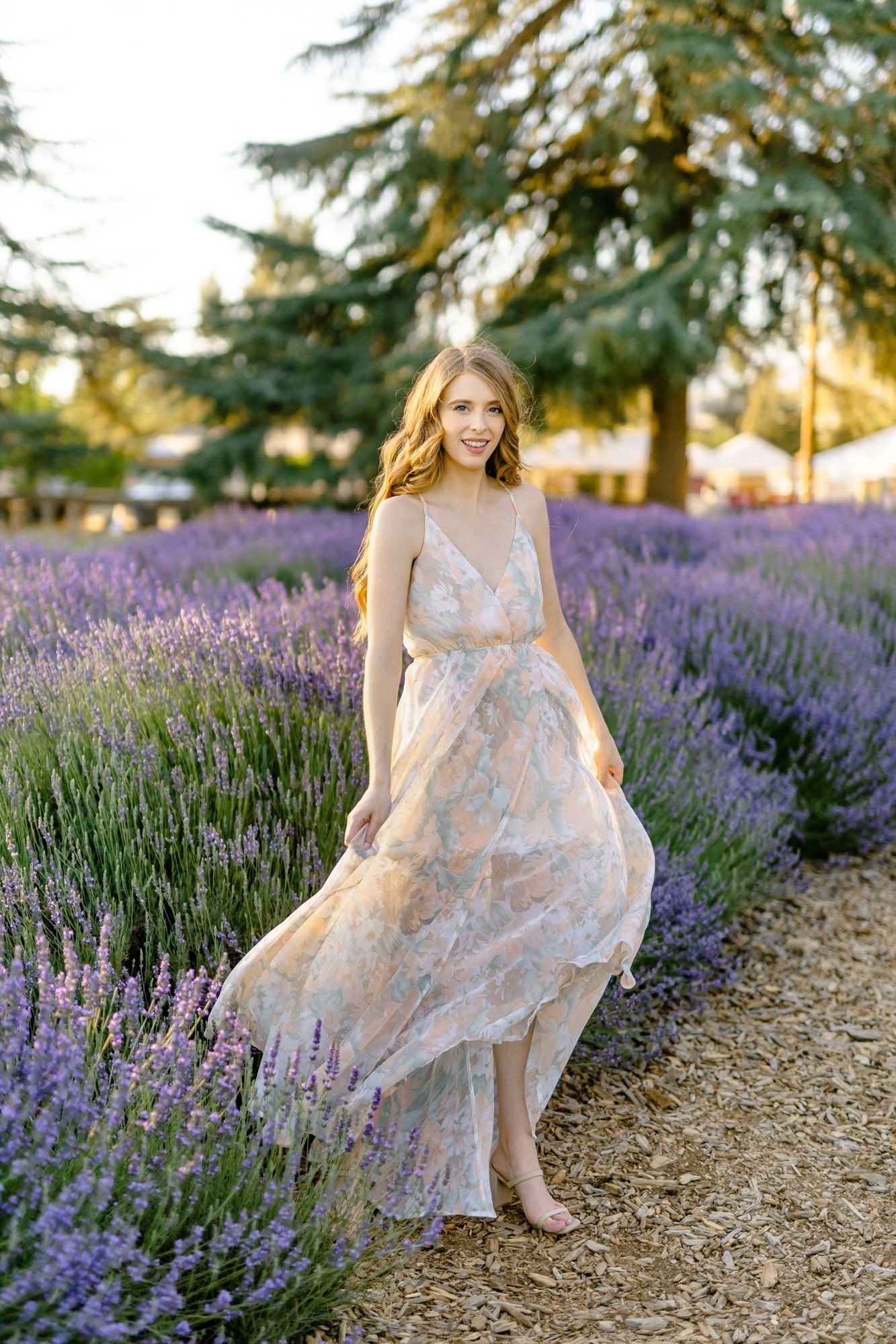 morning lavender dresses